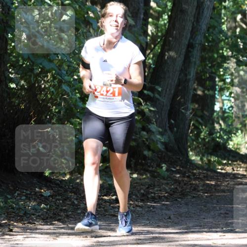 28.09.2025 - 33. Volkslauf durch das schöne Alstertal Strokosch-Dieckow http://msf.ph/oto/8971632 28.09.2025 12:17:42 Laufen 2421 meine-sportfotos.de