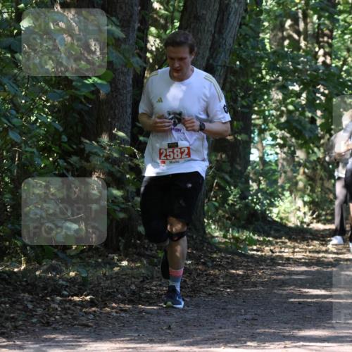 28.09.2025 - 33. Volkslauf durch das schöne Alstertal Strokosch-Dieckow http://msf.ph/oto/8971642 28.09.2025 12:17:55 Laufen 2582, 241 meine-sportfotos.de