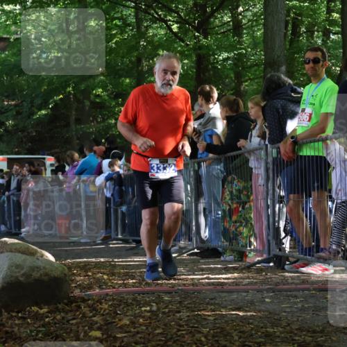28.09.2025 - 33. Volkslauf durch das schöne Alstertal Strokosch-Dieckow http://msf.ph/oto/8971647 28.09.2025 11:54:05 Ziel 3332 meine-sportfotos.de