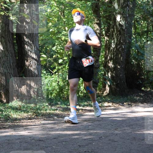 28.09.2025 - 33. Volkslauf durch das schöne Alstertal Strokosch-Dieckow http://msf.ph/oto/8971648 28.09.2025 12:18:03 Laufen 2476 meine-sportfotos.de