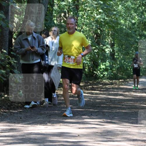 28.09.2025 - 33. Volkslauf durch das schöne Alstertal Strokosch-Dieckow http://msf.ph/oto/8971650 28.09.2025 12:18:07 Laufen 2648 meine-sportfotos.de