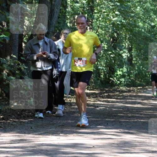 28.09.2025 - 33. Volkslauf durch das schöne Alstertal Strokosch-Dieckow http://msf.ph/oto/8971652 28.09.2025 12:18:07 Laufen 2648 meine-sportfotos.de