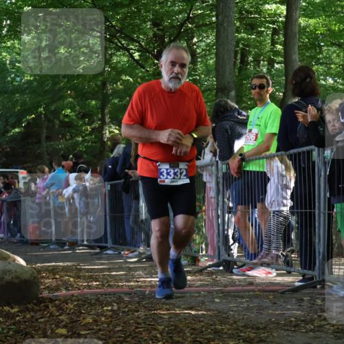 28.09.2025 - 33. Volkslauf durch das schöne Alstertal Strokosch-Dieckow http://msf.ph/oto/8971656 28.09.2025 11:54:05 Ziel 3332 meine-sportfotos.de
