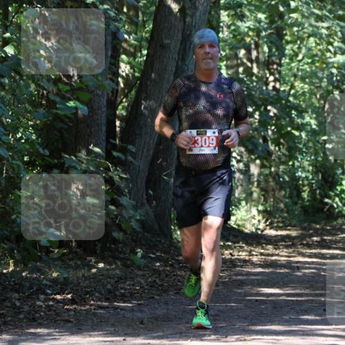 28.09.2025 - 33. Volkslauf durch das schöne Alstertal Strokosch-Dieckow http://msf.ph/oto/8971658 28.09.2025 12:18:18 Laufen 2309 meine-sportfotos.de