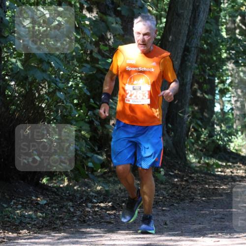 28.09.2025 - 33. Volkslauf durch das schöne Alstertal Strokosch-Dieckow http://msf.ph/oto/8971661 28.09.2025 12:18:24 Laufen 2263 meine-sportfotos.de