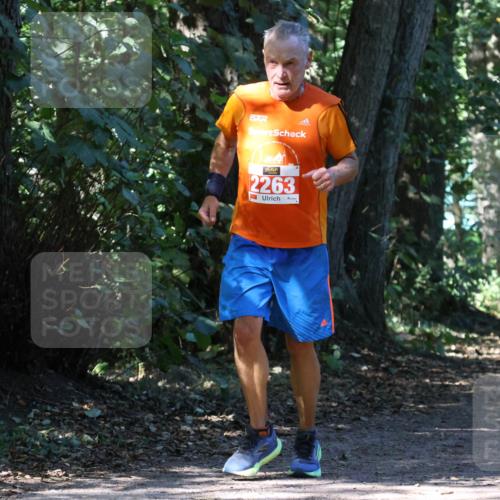 28.09.2025 - 33. Volkslauf durch das schöne Alstertal Strokosch-Dieckow http://msf.ph/oto/8971662 28.09.2025 12:18:24 Laufen 2263 meine-sportfotos.de
