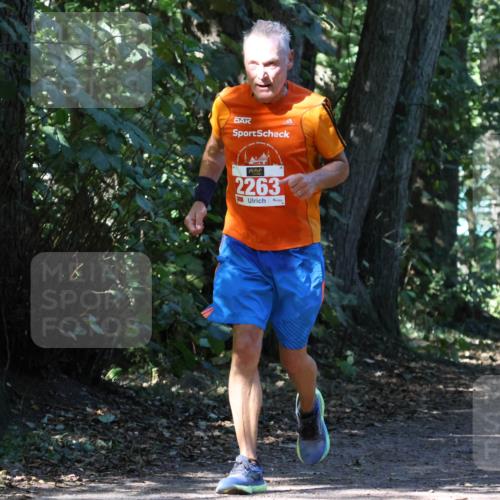 28.09.2025 - 33. Volkslauf durch das schöne Alstertal Strokosch-Dieckow http://msf.ph/oto/8971664 28.09.2025 12:18:24 Laufen 2263 meine-sportfotos.de