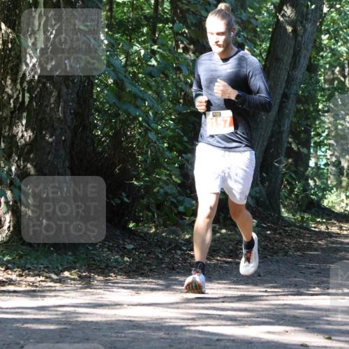 28.09.2025 - 33. Volkslauf durch das schöne Alstertal Strokosch-Dieckow http://msf.ph/oto/8971672 28.09.2025 12:18:44 Laufen 2157 meine-sportfotos.de