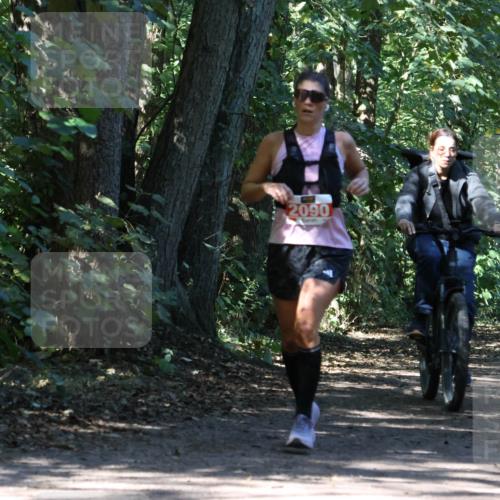28.09.2025 - 33. Volkslauf durch das schöne Alstertal Strokosch-Dieckow http://msf.ph/oto/8971677 28.09.2025 12:18:52 Laufen 2090 meine-sportfotos.de