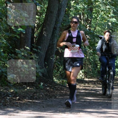 28.09.2025 - 33. Volkslauf durch das schöne Alstertal Strokosch-Dieckow http://msf.ph/oto/8971679 28.09.2025 12:18:52 Laufen 2090 meine-sportfotos.de