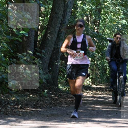 28.09.2025 - 33. Volkslauf durch das schöne Alstertal Strokosch-Dieckow http://msf.ph/oto/8971680 28.09.2025 12:18:52 Laufen 2090 meine-sportfotos.de