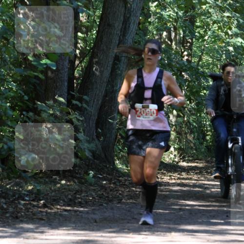 28.09.2025 - 33. Volkslauf durch das schöne Alstertal Strokosch-Dieckow http://msf.ph/oto/8971681 28.09.2025 12:18:52 Laufen 2090 meine-sportfotos.de
