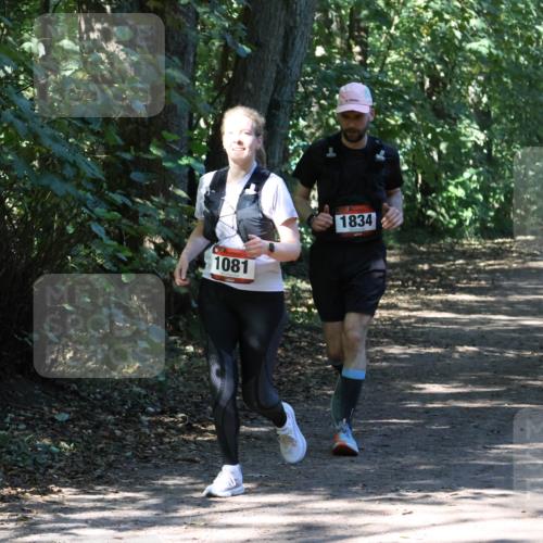 28.09.2025 - 33. Volkslauf durch das schöne Alstertal Strokosch-Dieckow http://msf.ph/oto/8971689 28.09.2025 12:19:17 Laufen 1081, 1834 meine-sportfotos.de