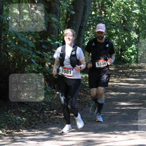 28.09.2025 - 33. Volkslauf durch das schöne Alstertal Strokosch-Dieckow http://msf.ph/oto/8971690 28.09.2025 12:19:17 Laufen 1081, 1834 meine-sportfotos.de