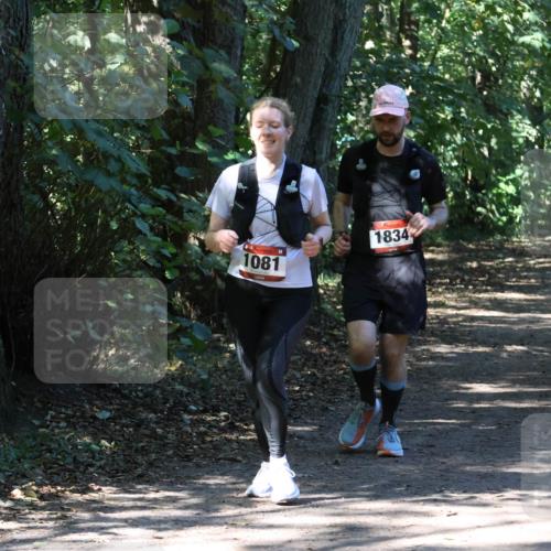 28.09.2025 - 33. Volkslauf durch das schöne Alstertal Strokosch-Dieckow http://msf.ph/oto/8971691 28.09.2025 12:19:17 Laufen 1081, 1834 meine-sportfotos.de