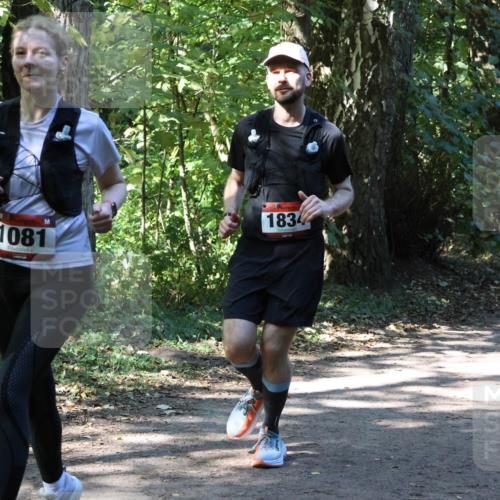 28.09.2025 - 33. Volkslauf durch das schöne Alstertal Strokosch-Dieckow http://msf.ph/oto/8971697 28.09.2025 12:19:20 Laufen 1081, 1834 meine-sportfotos.de