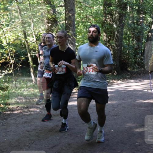 28.09.2025 - 33. Volkslauf durch das schöne Alstertal Strokosch-Dieckow http://msf.ph/oto/8971701 28.09.2025 12:20:03 Laufen 1724, 2055, 205 meine-sportfotos.de