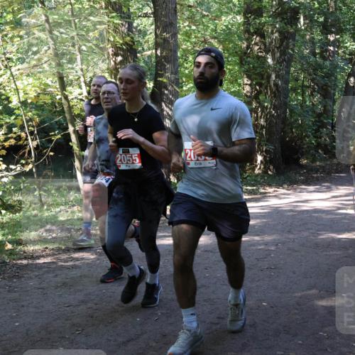 28.09.2025 - 33. Volkslauf durch das schöne Alstertal Strokosch-Dieckow http://msf.ph/oto/8971702 28.09.2025 12:20:03 Laufen 200, 2055 meine-sportfotos.de
