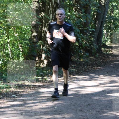 28.09.2025 - 33. Volkslauf durch das schöne Alstertal Strokosch-Dieckow http://msf.ph/oto/8971712 28.09.2025 12:20:15 Laufen 2288, 1080 meine-sportfotos.de