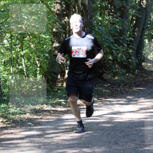 28.09.2025 - 33. Volkslauf durch das schöne Alstertal Strokosch-Dieckow http://msf.ph/oto/8971715 28.09.2025 12:20:16 Laufen 2288, 1080 meine-sportfotos.de