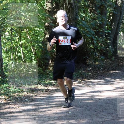 28.09.2025 - 33. Volkslauf durch das schöne Alstertal Strokosch-Dieckow http://msf.ph/oto/8971716 28.09.2025 12:20:16 Laufen 2288, 1080 meine-sportfotos.de