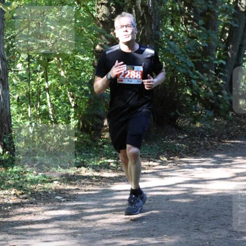 28.09.2025 - 33. Volkslauf durch das schöne Alstertal Strokosch-Dieckow http://msf.ph/oto/8971717 28.09.2025 12:20:16 Laufen 2288, 1080 meine-sportfotos.de