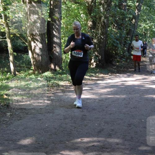28.09.2025 - 33. Volkslauf durch das schöne Alstertal Strokosch-Dieckow http://msf.ph/oto/8971722 28.09.2025 12:20:25 Laufen 1080, 1750, 2632, 1097 meine-sportfotos.de