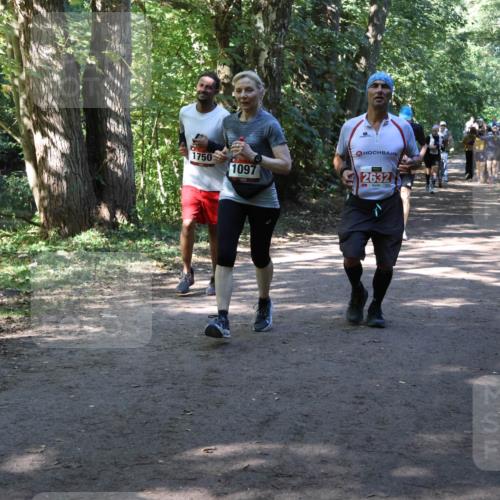 28.09.2025 - 33. Volkslauf durch das schöne Alstertal Strokosch-Dieckow http://msf.ph/oto/8971723 28.09.2025 12:20:29 Laufen 1750, 1097, 2632 meine-sportfotos.de