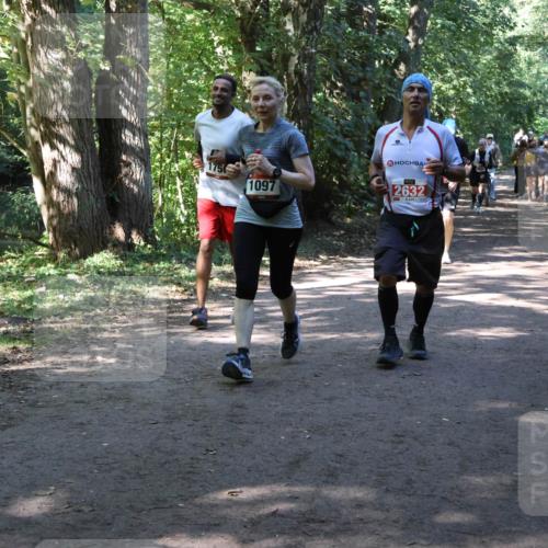28.09.2025 - 33. Volkslauf durch das schöne Alstertal Strokosch-Dieckow http://msf.ph/oto/8971724 28.09.2025 12:20:29 Laufen 1097, 2632 meine-sportfotos.de