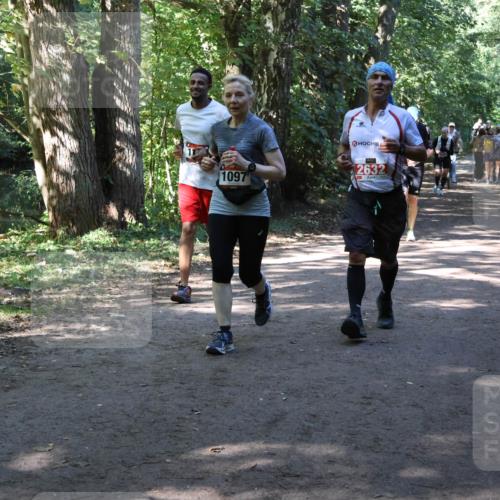 28.09.2025 - 33. Volkslauf durch das schöne Alstertal Strokosch-Dieckow http://msf.ph/oto/8971725 28.09.2025 12:20:29 Laufen 9, 1097, 2632 meine-sportfotos.de