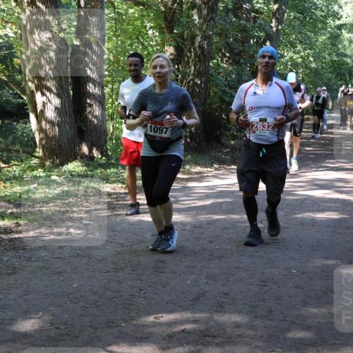 28.09.2025 - 33. Volkslauf durch das schöne Alstertal Strokosch-Dieckow http://msf.ph/oto/8971727 28.09.2025 12:20:29 Laufen 1097, 2632 meine-sportfotos.de