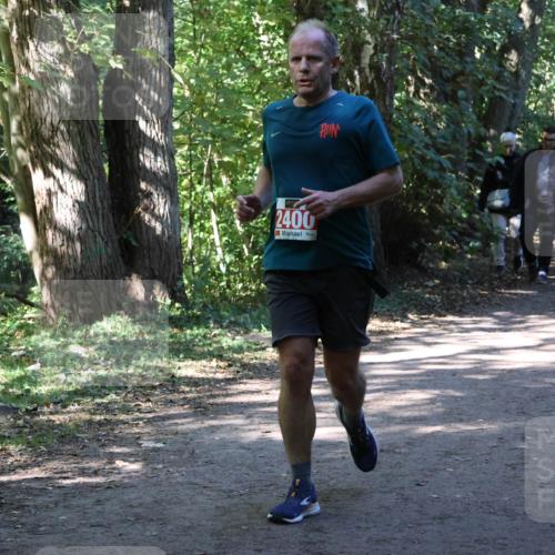 28.09.2025 - 33. Volkslauf durch das schöne Alstertal Strokosch-Dieckow http://msf.ph/oto/8971742 28.09.2025 12:20:44 Laufen 2400 meine-sportfotos.de
