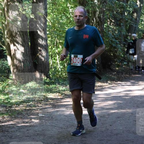 28.09.2025 - 33. Volkslauf durch das schöne Alstertal Strokosch-Dieckow http://msf.ph/oto/8971743 28.09.2025 12:20:44 Laufen 2400 meine-sportfotos.de