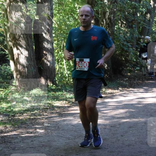 28.09.2025 - 33. Volkslauf durch das schöne Alstertal Strokosch-Dieckow http://msf.ph/oto/8971745 28.09.2025 12:20:44 Laufen 2400 meine-sportfotos.de