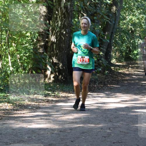 28.09.2025 - 33. Volkslauf durch das schöne Alstertal Strokosch-Dieckow http://msf.ph/oto/8971760 28.09.2025 12:21:03 Laufen 2131 meine-sportfotos.de
