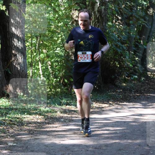 28.09.2025 - 33. Volkslauf durch das schöne Alstertal Strokosch-Dieckow http://msf.ph/oto/8971761 28.09.2025 12:21:09 Laufen 2559 meine-sportfotos.de