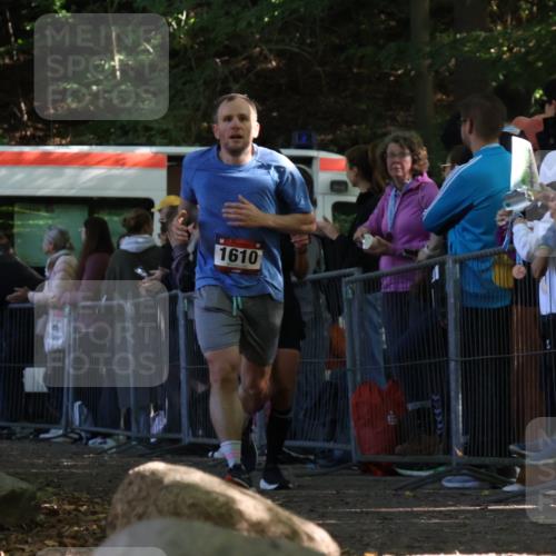 28.09.2025 - 33. Volkslauf durch das schöne Alstertal Strokosch-Dieckow http://msf.ph/oto/8971762 28.09.2025 11:54:25 Ziel 1011, 1017, 1610 meine-sportfotos.de
