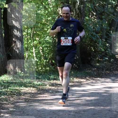 28.09.2025 - 33. Volkslauf durch das schöne Alstertal Strokosch-Dieckow http://msf.ph/oto/8971763 28.09.2025 12:21:09 Laufen 2559 meine-sportfotos.de