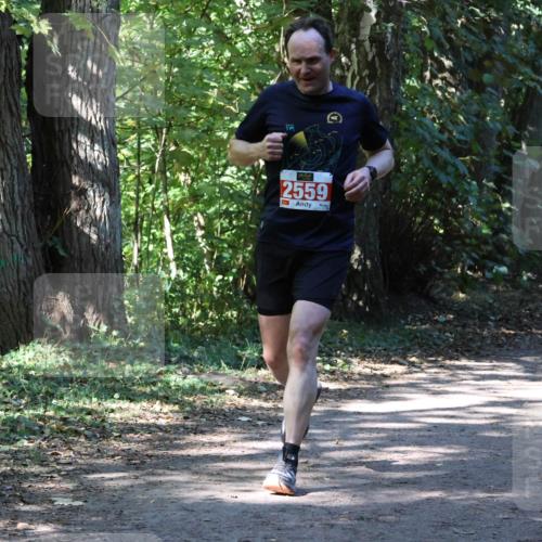 28.09.2025 - 33. Volkslauf durch das schöne Alstertal Strokosch-Dieckow http://msf.ph/oto/8971764 28.09.2025 12:21:09 Laufen 2559 meine-sportfotos.de