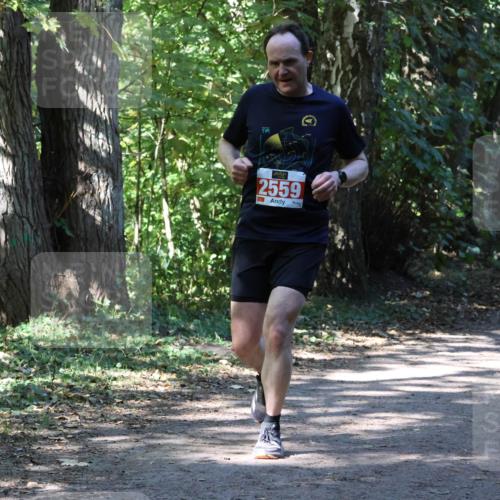 28.09.2025 - 33. Volkslauf durch das schöne Alstertal Strokosch-Dieckow http://msf.ph/oto/8971765 28.09.2025 12:21:09 Laufen 2559 meine-sportfotos.de