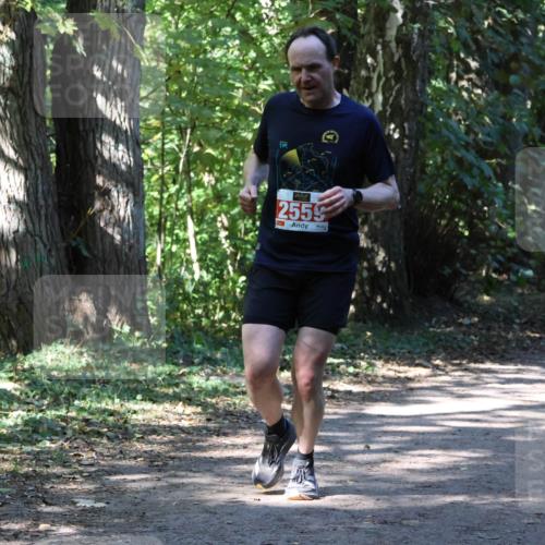 28.09.2025 - 33. Volkslauf durch das schöne Alstertal Strokosch-Dieckow http://msf.ph/oto/8971766 28.09.2025 12:21:09 Laufen 2559 meine-sportfotos.de