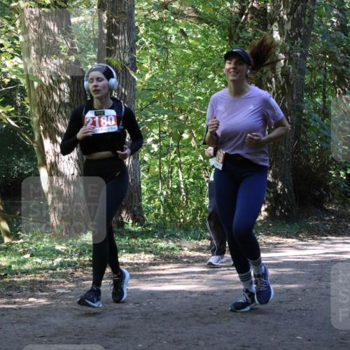 28.09.2025 - 33. Volkslauf durch das schöne Alstertal Strokosch-Dieckow http://msf.ph/oto/8971769 28.09.2025 12:21:40 Laufen 2180 meine-sportfotos.de
