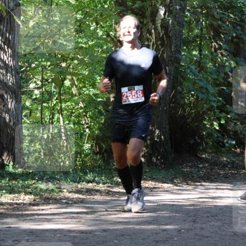 28.09.2025 - 33. Volkslauf durch das schöne Alstertal Strokosch-Dieckow http://msf.ph/oto/8971774 28.09.2025 12:21:58 Laufen 2558, 2298 meine-sportfotos.de