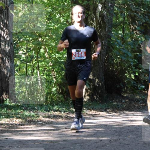 28.09.2025 - 33. Volkslauf durch das schöne Alstertal Strokosch-Dieckow http://msf.ph/oto/8971775 28.09.2025 12:21:58 Laufen 2558 meine-sportfotos.de