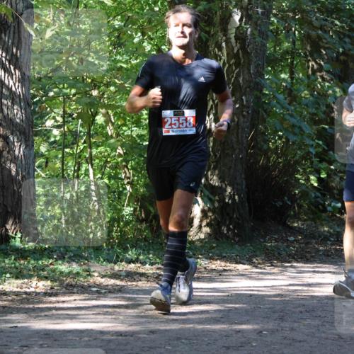 28.09.2025 - 33. Volkslauf durch das schöne Alstertal Strokosch-Dieckow http://msf.ph/oto/8971776 28.09.2025 12:21:58 Laufen 2558 meine-sportfotos.de