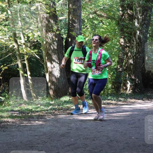 28.09.2025 - 33. Volkslauf durch das schöne Alstertal Strokosch-Dieckow http://msf.ph/oto/8971780 28.09.2025 12:22:05 Laufen 172, 254, 1745 meine-sportfotos.de