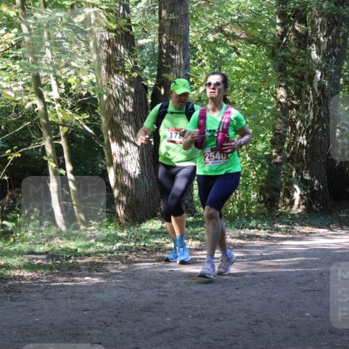 28.09.2025 - 33. Volkslauf durch das schöne Alstertal Strokosch-Dieckow http://msf.ph/oto/8971782 28.09.2025 12:22:06 Laufen 2 meine-sportfotos.de