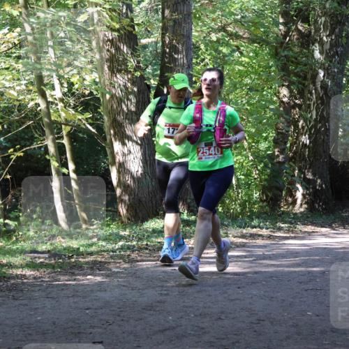 28.09.2025 - 33. Volkslauf durch das schöne Alstertal Strokosch-Dieckow http://msf.ph/oto/8971783 28.09.2025 12:22:06 Laufen 17, 2540, 1745 meine-sportfotos.de