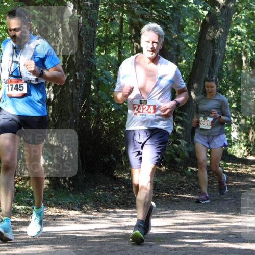 28.09.2025 - 33. Volkslauf durch das schöne Alstertal Strokosch-Dieckow http://msf.ph/oto/8971787 28.09.2025 12:22:09 Laufen 1745, 2424, 2606 meine-sportfotos.de