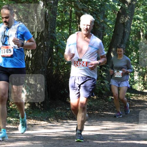 28.09.2025 - 33. Volkslauf durch das schöne Alstertal Strokosch-Dieckow http://msf.ph/oto/8971789 28.09.2025 12:22:09 Laufen 1745, 2424, 2606 meine-sportfotos.de